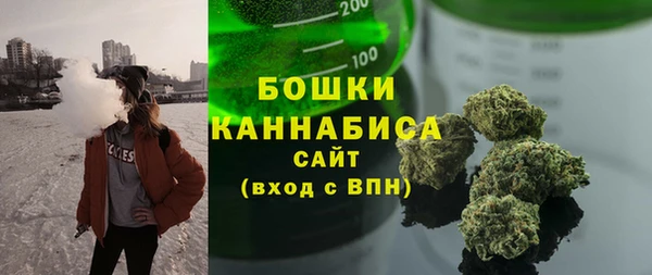 шишки Алексеевка