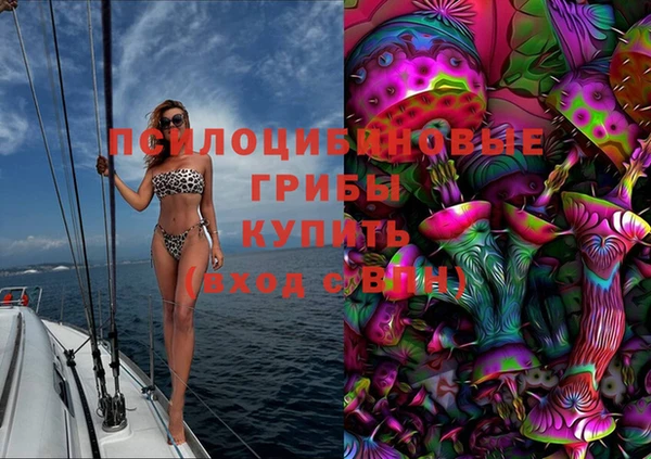 шишки Алексеевка