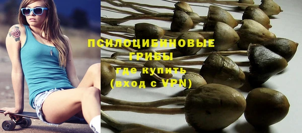 первитин Алексин