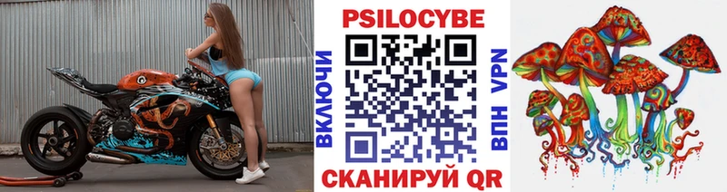 Галлюциногенные грибы GOLDEN TEACHER цены Алексеевка